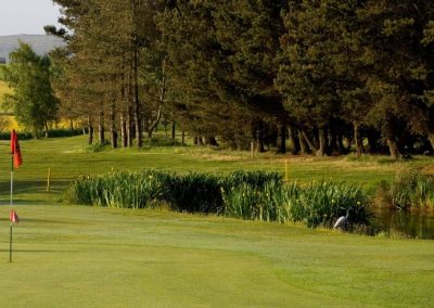 Colne Golf Course Green